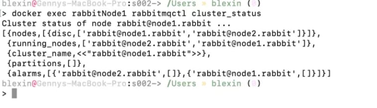 RabbitMQ high availability: RabbitMQ information on cluster
